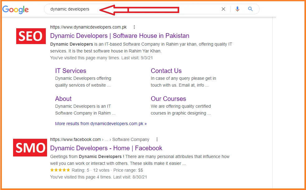 SMO Result of Dynamic Developers Software House